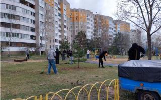 ЖКХ с женским лицом: тематический субботник прошел...